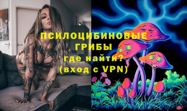 метамфетамин Алексин