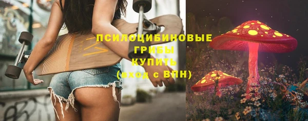 стаф Алексеевка