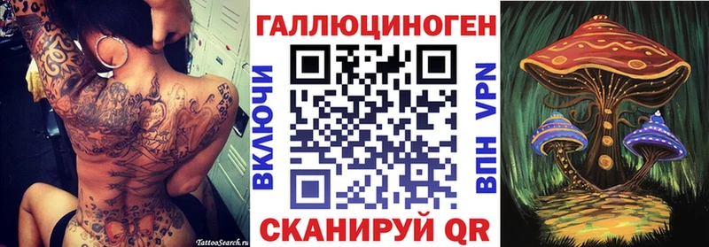kraken зеркало  Качканар  Псилоцибиновые грибы Psilocybine cubensis 